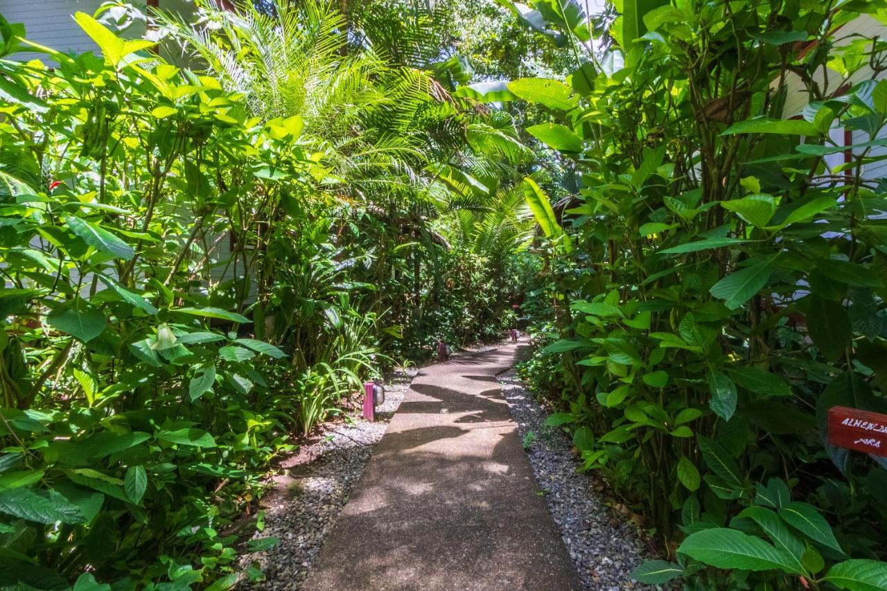 Namuwoki Lodge Puerto Viejo de Talamanca Eksteriør bilde